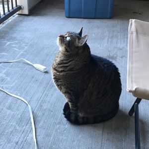 Meet your Posher, Wendy